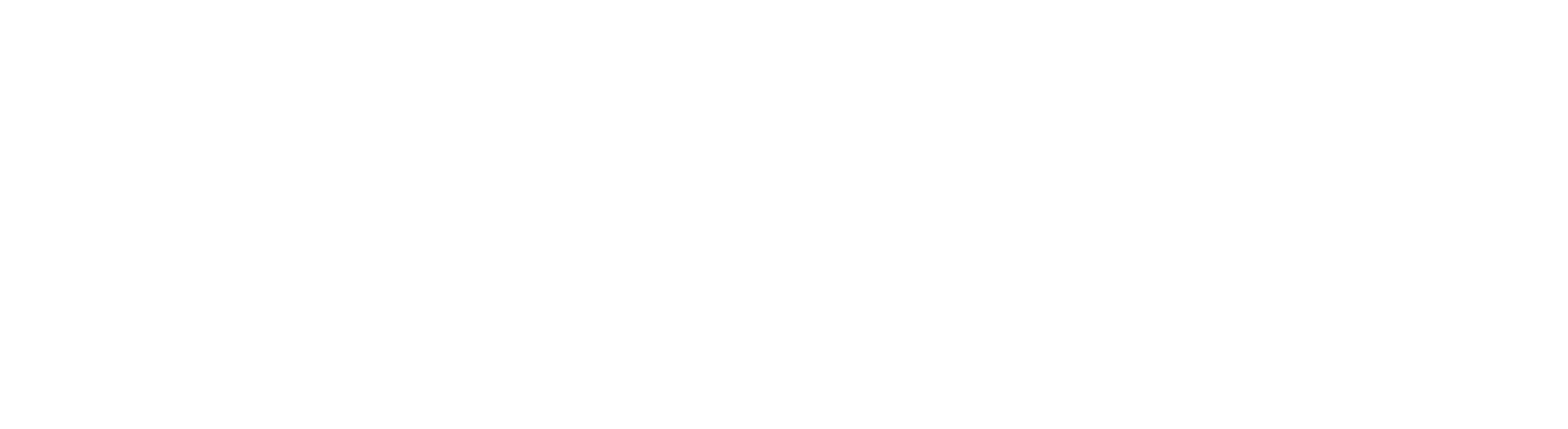 timee_logo_styles_digital_white